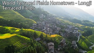 World Terraced Fields Hometown  Longji Terraced Fields世界梯田原乡龙脊梯田 [upl. by Tuorah558]