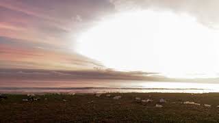 Time Lapse Sunrise In The Beach South China Sea [upl. by Nehgaem955]