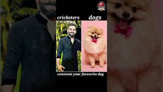 cricketers favourite dog comment your favourite dogbumrah indiancricketersong t20worldcupcup [upl. by Arhsub]