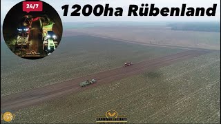 Das letzte Rüben Feld von 1200ha Rübenland LU Schmiedt Company bei der 247 Rüben Kampagne Rüben 23 [upl. by Chuck]