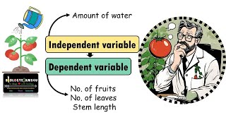 Difference between Dependent Independent and control variables in science with example [upl. by Annyl998]