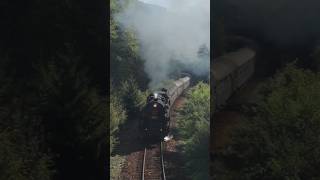 🇸🇰 Parní lokomotiva 556036 train vlak lokomotiva vlaky railway rail history steam CD ZSR [upl. by Ynafets]