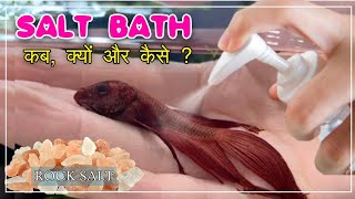 Betta Fish Treatment Sick Betta Fish Or Fin Rot Disease  how to save fish from dying [upl. by Inger]