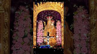 Shrine Basilica  Vailankanni shorts youtubeshorts vailankanni velankanni video youtube yt [upl. by Cornwall923]