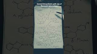 General biosynthetic pathway of Flavonoids Glycosides [upl. by Nnayelsel]