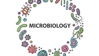 Escherichia Coli MicrobiologyPathology MBBS 3rdYear [upl. by Nnairda]