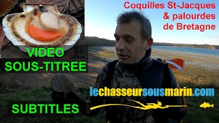 112🐟 Parcours pêche sousmarine COQUILLES ST JACQUES en BRETAGNE Vallée de la Rance  des recettes [upl. by Ailaza]