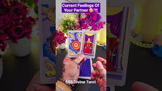 ❤️Tarot card reading hindi❤️Current feelings of your person shorts tarotreading nocontact [upl. by Erodeht]