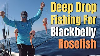 Deep Drop Fishing for Blackbelly Rosefish  Deep Dropping Basics amp Tactics [upl. by Heidt]