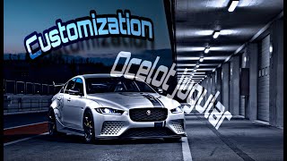 GTA 5 Online  NEW Ocelot Jugular Customization Diamond Casino DLC [upl. by Ecnahoy]