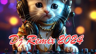 Dj Remix 2024 [upl. by Areyk]