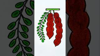 How to Draw and Color Tamarind Step by Step   shorts youtubeshorts siriworld drawing tamarind [upl. by Amalberga]