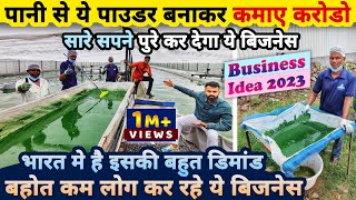 सारे सपने पुरे करेगा ये बिज़नेस😍 पानी से पाउडर बनाकर कमाए करोडो🌏 business ideas  spirulina farming [upl. by Emmalee]