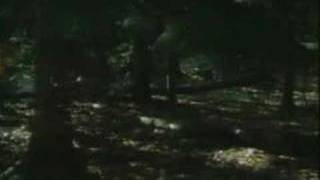 Terabithia old version clip5 [upl. by Norrek]