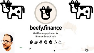 BeefyFinance come Aumentare i nostri Interessi passivi su DeFi del 500 annui [upl. by Loy]