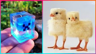 MINECRAFT Creations And Crafts That Are Next Level ▶4 [upl. by Eahs]