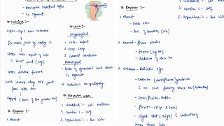 PLANTER REFLEX BABINSKIS SIGN NOTES  ONE PAGE NOTES  CNS  MEDICINE  4TH PROFF  MBBS [upl. by Kartis]