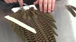 Flying Pheasant Complete Taxidermy Course step by step 5 Preparing the Tail [upl. by Asined]