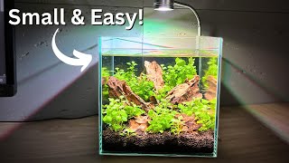 Beginner Nano Shrimp Tank Easy NoFilter 2 gallon Setup [upl. by Annaohj]