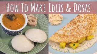 How to make delicious Idlis and Dosas  Homemade Batter  Bonus Tempered Coconut Chutney recipe [upl. by Ecenaj]