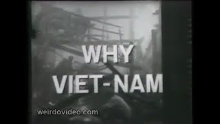 Why VietNam  1960s [upl. by Daffodil620]