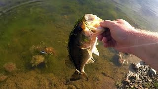 A Bass On Every Bait Ultimate Pond Fishing Challenge [upl. by Nyl]