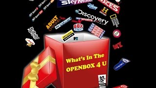 How To Install CLines CCcamcfg file On The Openbox V8S [upl. by French706]