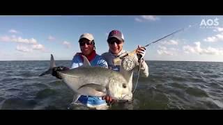 Farquhar Atoll  Seychelles  Fliegenfischen  Fly Fishing  Giant Trevally [upl. by Carlee348]