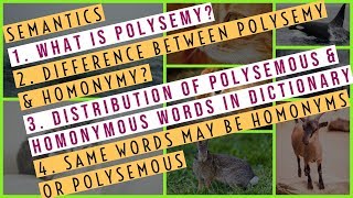 Semantics  What Is Polysemy  Difference Between Polysemy And Homonymy  Distribution In Dictionary [upl. by Ardnekat]