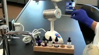 How to Prepare a Bacterial Smear for Gram Stain [upl. by Katherin659]