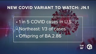 CDC reports JN1 COVID19 subvariant spreading quickly [upl. by Mira]