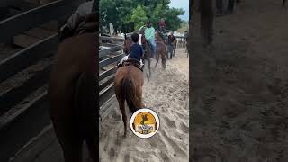 Só moendo cuidha 📿📿🔥 fy vaquejada cavalo cavalos cavalomarchador vaqueiro rodeio agro [upl. by Etsirhc799]