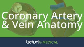 Coronary Artery amp Vein Anatomy  Cardiac Anatomy [upl. by Noscire]