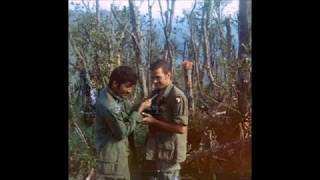 19701971 RVN B2501st Inf 101st ABN Div [upl. by Hanikahs764]