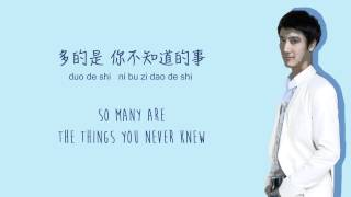 Wang Leehom王力宏  All the Things You Never Knew你不知道的事 Color Coded ChiPinEng Lyrics [upl. by Noxin]