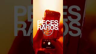 PECES RAROS EN COSTA RICA [upl. by Atter]