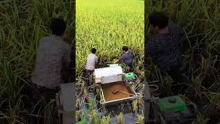 agriculture CropGear farming2025 shorts agritoolsAgriMachFarmingMachinary [upl. by Rramel339]