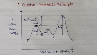 Curtin Hammett Principle  Organic chemistry  MSc Semester 1 Notes [upl. by Nnaitsirk895]