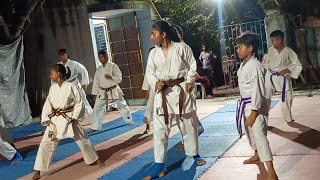 KARATE CLASS💃 FOR BEGINNERS LEARN🔥 MARTIAL ARTS MARTIAL ARTS CLASS LEARN KARTE mastershailesh❓ [upl. by Ellon668]