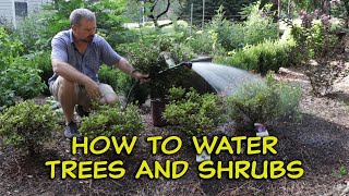 How to Water Trees and Shrubs💦💧 [upl. by Lefkowitz910]