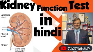 KFT IN HINDI  Kidney function test  Test Included in KFT ajaykaushik sheetalchhaya scd kft [upl. by Ardyth]