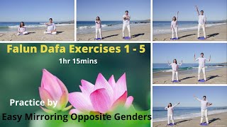 Falun Dafa Falun Gong Exercises 15 Practice by Easy Mirroring Opposite Genders 1h15mins [upl. by Notned]