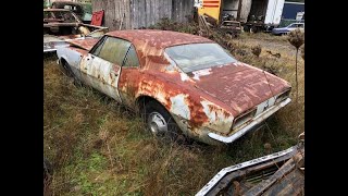 JUNKMARO Junkyard 1967 Camaro RS Gets A Wash For The First Time In Years [upl. by Pritchett]