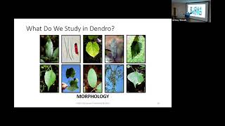 Intro to Dendrology [upl. by O'Hara]