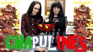 Español comiendo Chapulines  LadyOstara y HaploSchaffer [upl. by Teews]