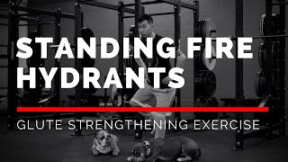 Standing Fire Hydrants GLUTE Strengthening Exercise [upl. by Duwalt]