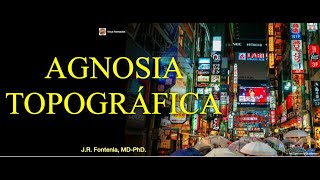 Agnosia Topográfica [upl. by Eseer405]