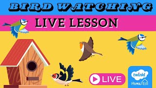 Bird Watching LIVE with Twinkl Home Ed [upl. by Bergh]