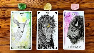 THE HONEST TRUTH ABOUT YOUR CURRENT SITUATION 🍀🌙🔮  Pick a Card Tarot Reading [upl. by Ratha]