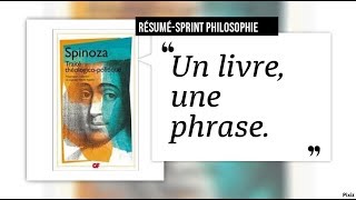 3 grands ouvrages de philo résumés en une phrase Aristote Spinoza Husserl [upl. by Orlantha291]